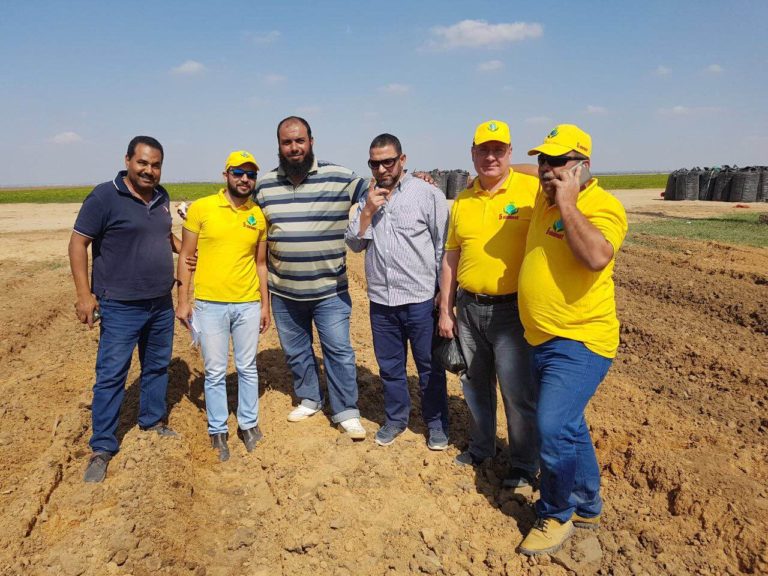 Micro Mineral Fertilizers Granulated «5 element» are testing in Egypt